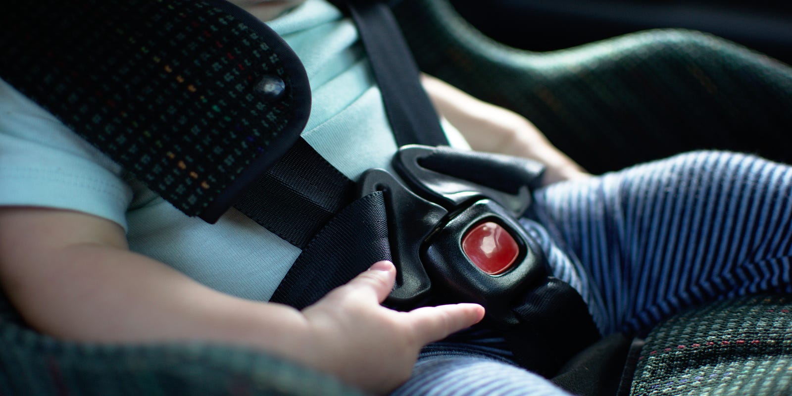 There S Science Behind Why Parents Leave Kids In Hot Cars There S Science Behind Why Parents Leave Kids In Hot Cars