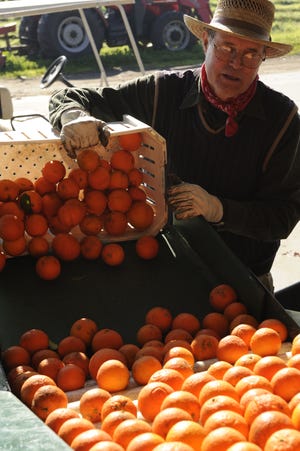In this file photo, Paul Buxman dumps Page Mandarins into a washer at Sweet Home Ranch in Dinuba. Buxman was sued Thursday by Devin Nunes (R-Tulare) after he sought to force the Tulare politician to stop using “farmer” on the 2018 ballot.