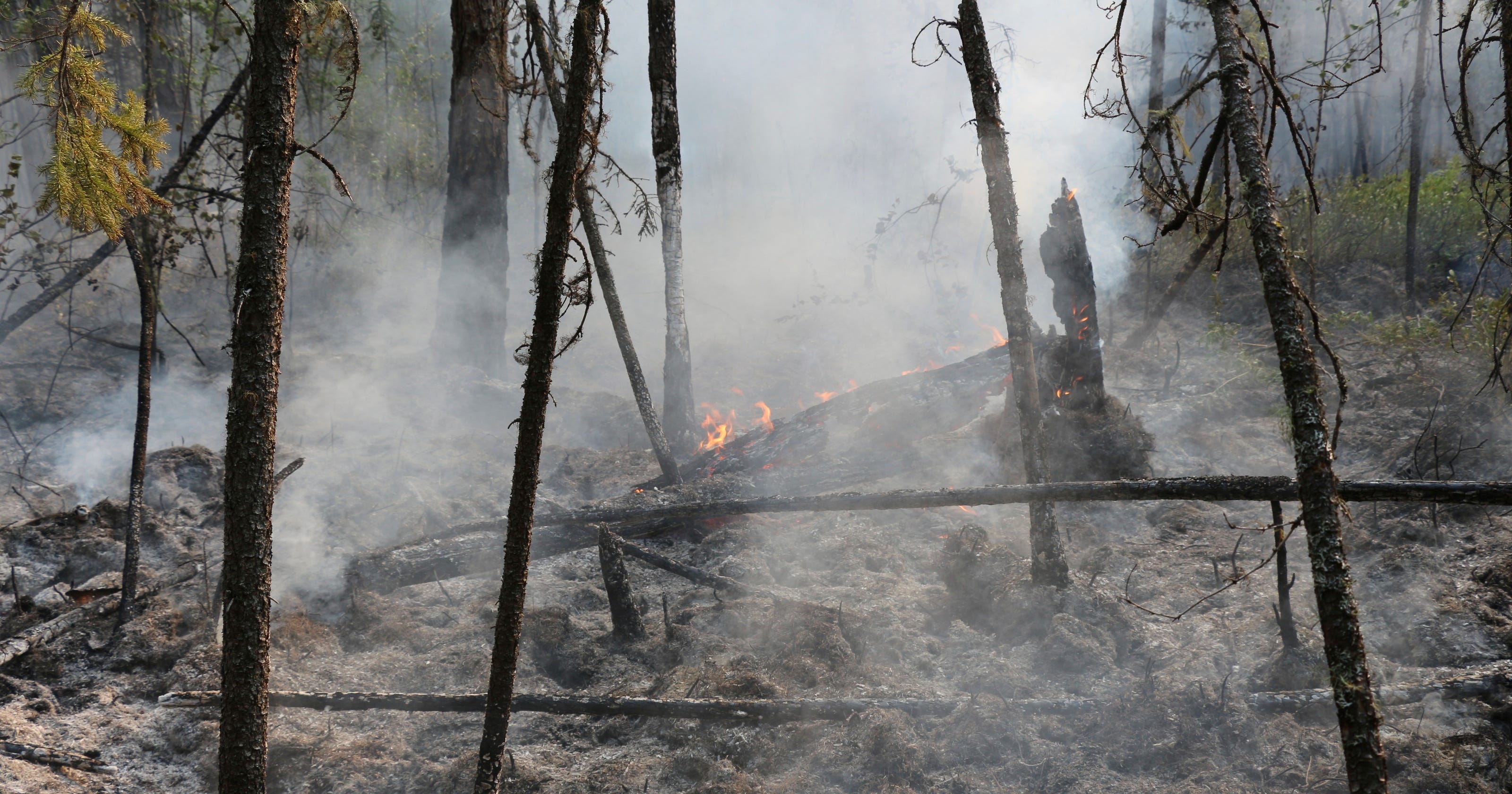 Wildfires in Russia Climate change is worsening blaze, scientist says