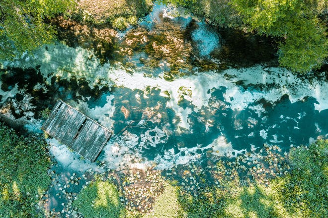 Florida's springs, like Rock Springs Run, shown above, face challenges due to rising nutrient levels and diverted flows.