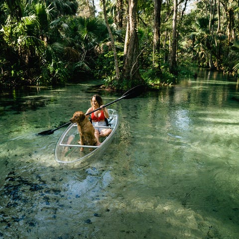 Planning a trip to Orlando but worried you may...