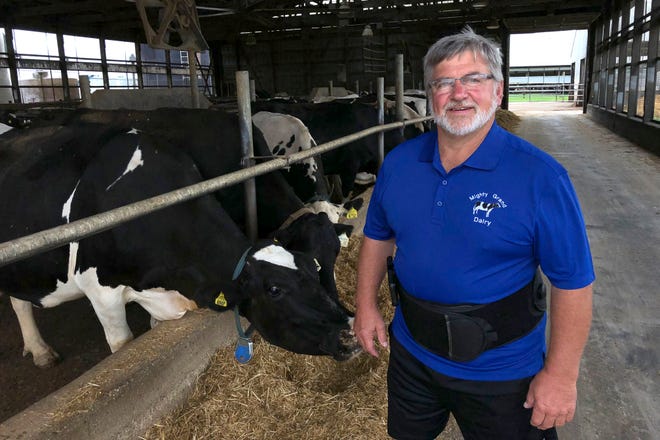 Dave Daniels stands in front of some of his 575 dairy cows on his farm in Union Grove, Wis., on Tuesday, Aug. 6, 2019. He voted for President Donald Trump, and says he's frustrated to be a political pawn in the trade war.