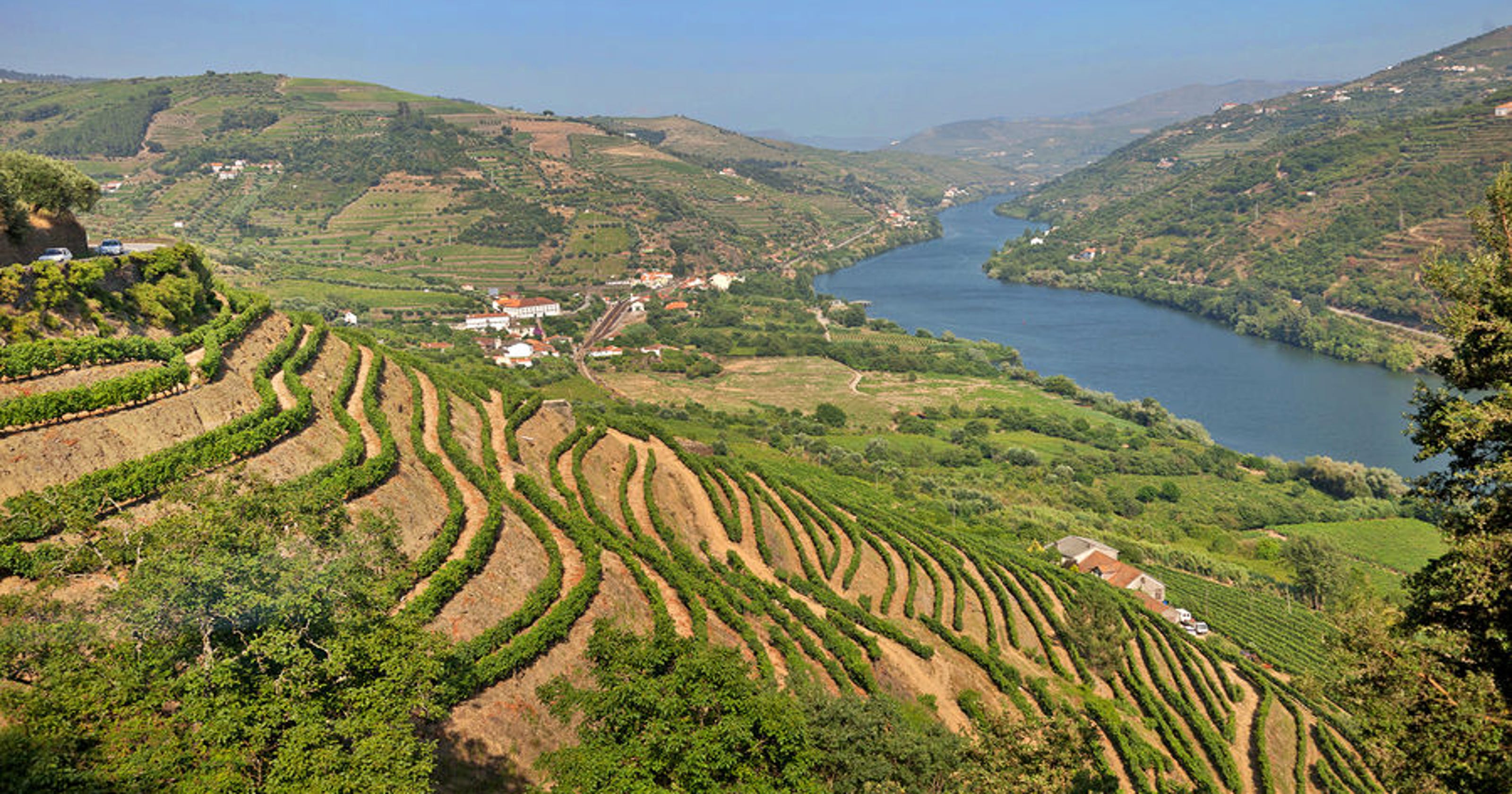 Where is port wine made? Explore winemaking Douro Valley, Portugal