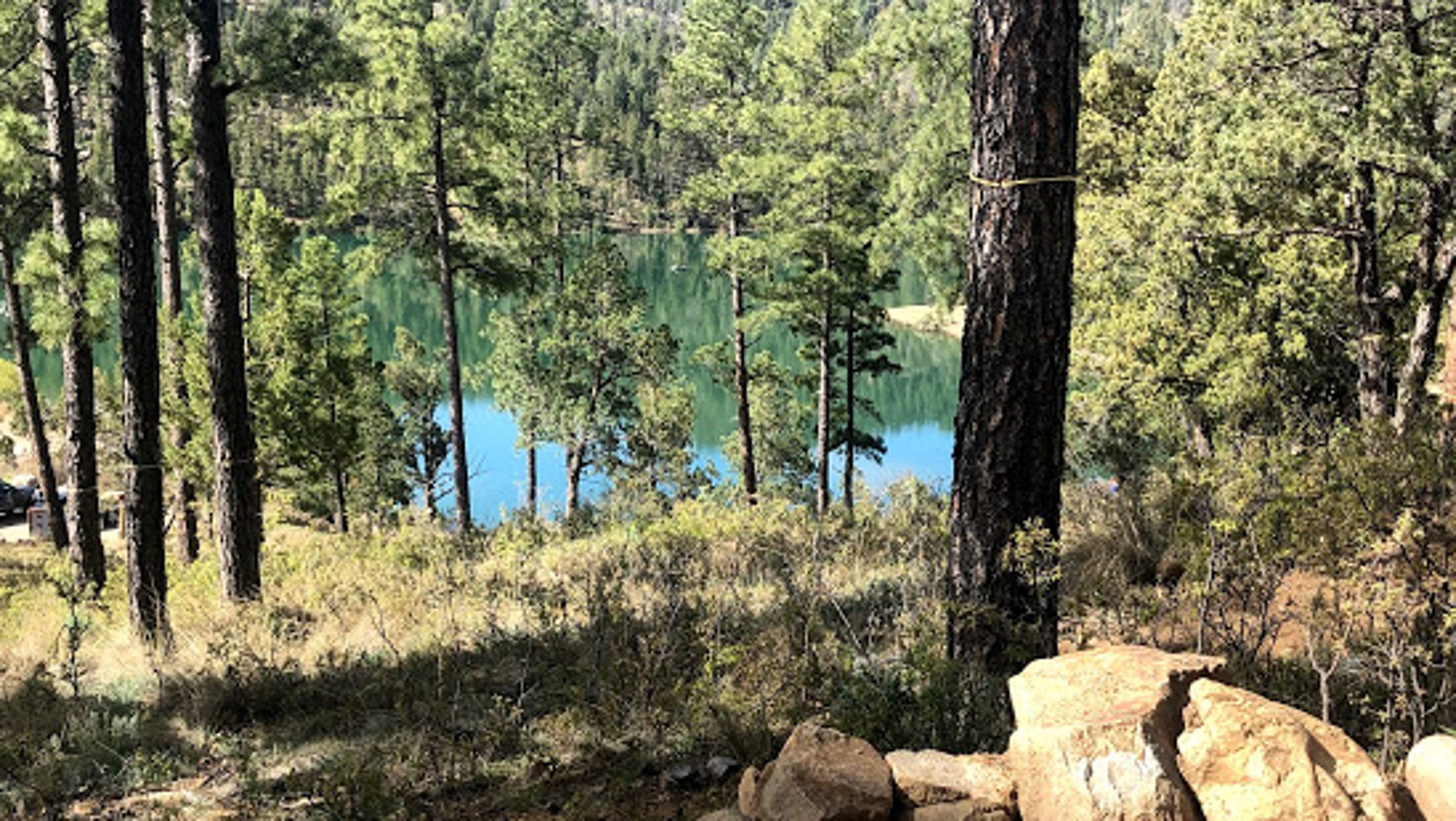 Community meeting: Your chance for a voice in Ruidoso's future - Ruidoso News