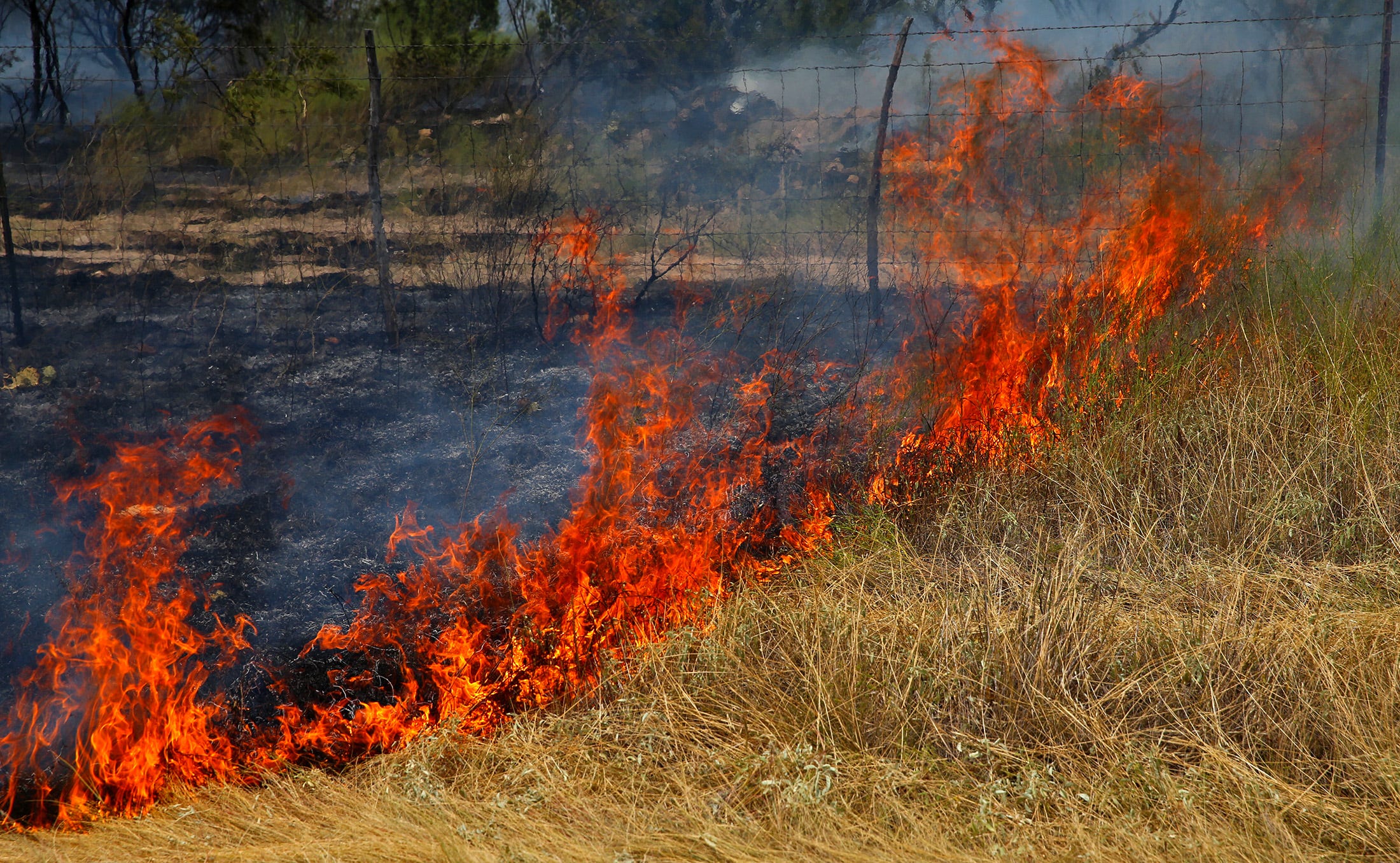 Brush fire burns 4,500 acres west of San Angelo