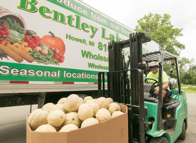 C.J. Turner, owner of Bentley Lake Farms, prepares to load Howell melons for delivery Monday, Aug. 12, 2019 at his Marion Township farm.