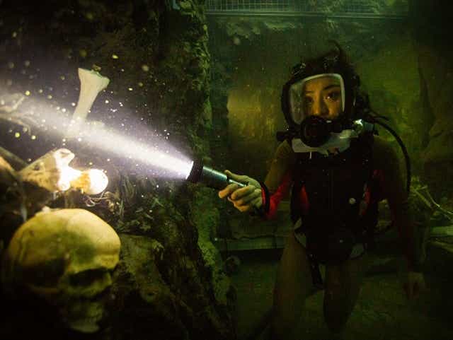 47 Meters Down Uncaged The 5 Bloodiest Shark Attacks Spoilers