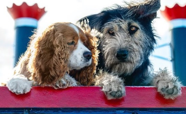 Disney Has Marvel And Star Wars No R Rated Fare Little Bingeing