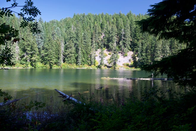 Fir Lake on the edge of the Mount Jefferson Wilderness.