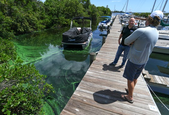 Boat captain Rory Loveridge (right), of Indian River County, talks with boat owner Eric Devries, of Port St. Lucie, as they briefly discuss the algae seen pooling along the north dock of Harbortown Marina on Tuesday, Aug. 20, 2019, in Fort Pierce. "I think it's not related to Lake Okeechobee and it's related to agriculture, and that was my point of putting it online, was to show the similarities, even though we don't have Lake O discharge," Loveridge said. "That was my main focus on why I thought I should put the pictures on Facebook." Devries stopped to talk with Loveridge after removing water from inside the hull of his boat and saw the algae. "It's disappointing. It's not good for the environment. It's sad to see," Devries said.