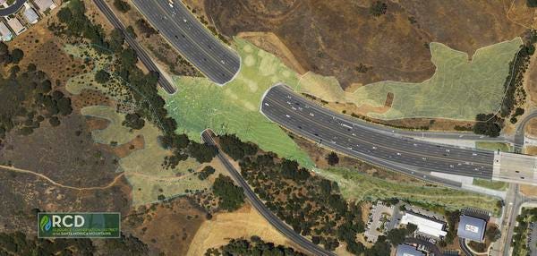 Plan Wildlife Bridge Over Highway 101 Gets Huge Boost Plan Wildlife Bridge Over Highway 101 Gets Huge Boost