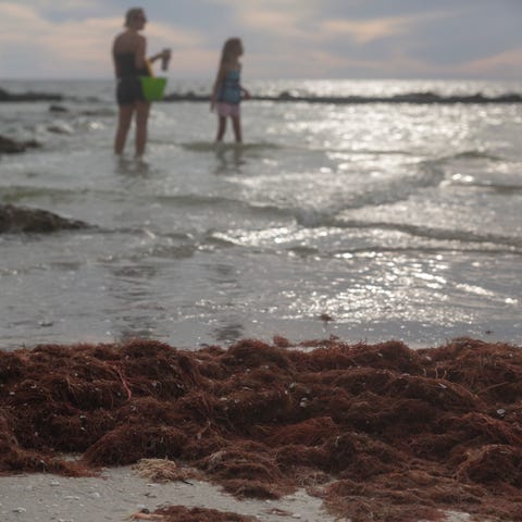 Allison Martone, left, and her daughter, Giovanna 