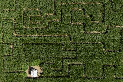 A drone image shows children playing in a 20,000 square-meter corn maze, at Urba Kids, in Orbe, Switzerland on Aug. 22, 2019.