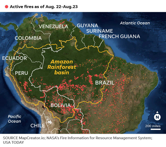 Amazon Rainforest Six Charts Explain Why The Fires Matter