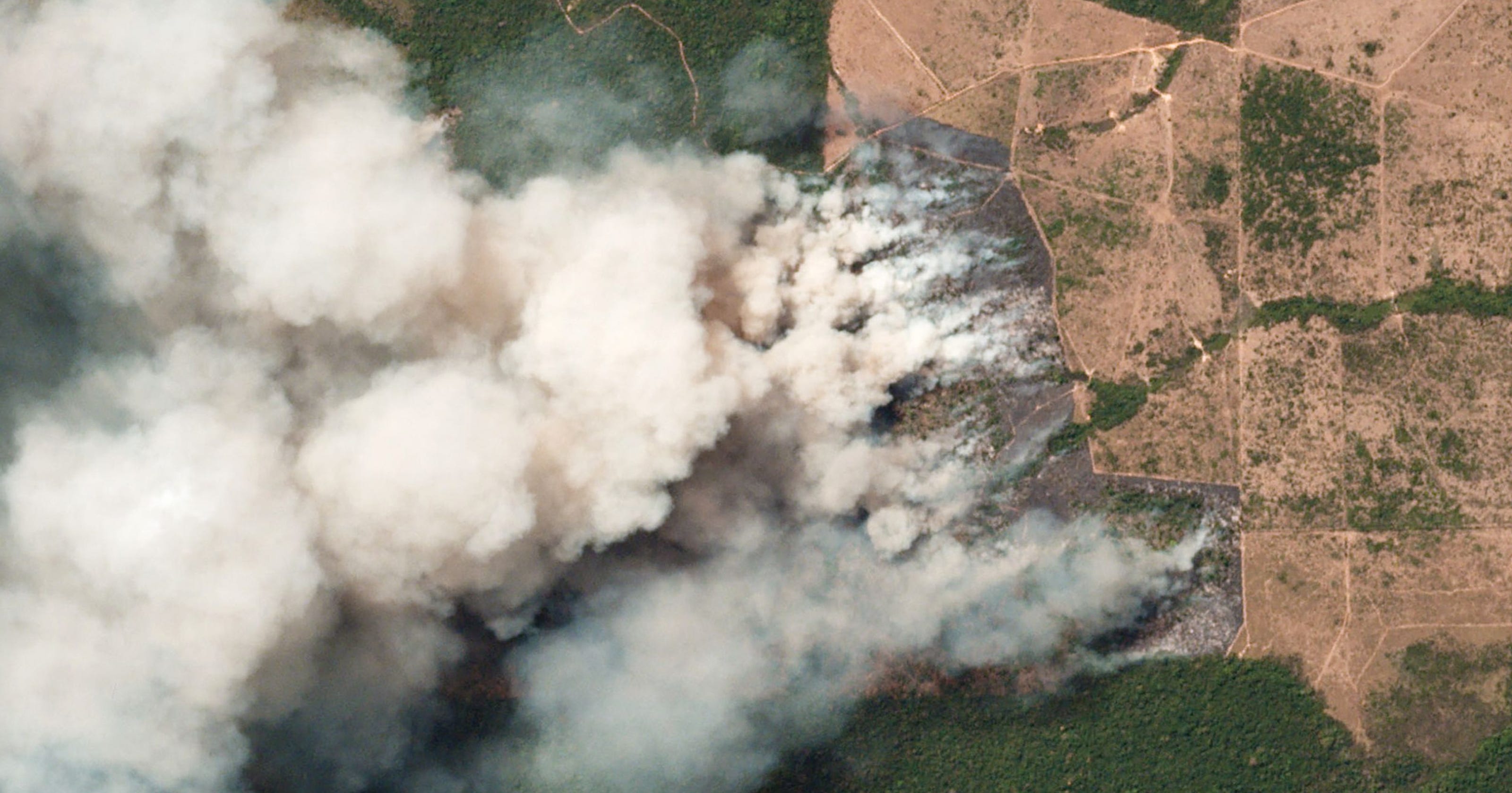 Amazon Rainforest Fire Is International Crisis Emmanuel