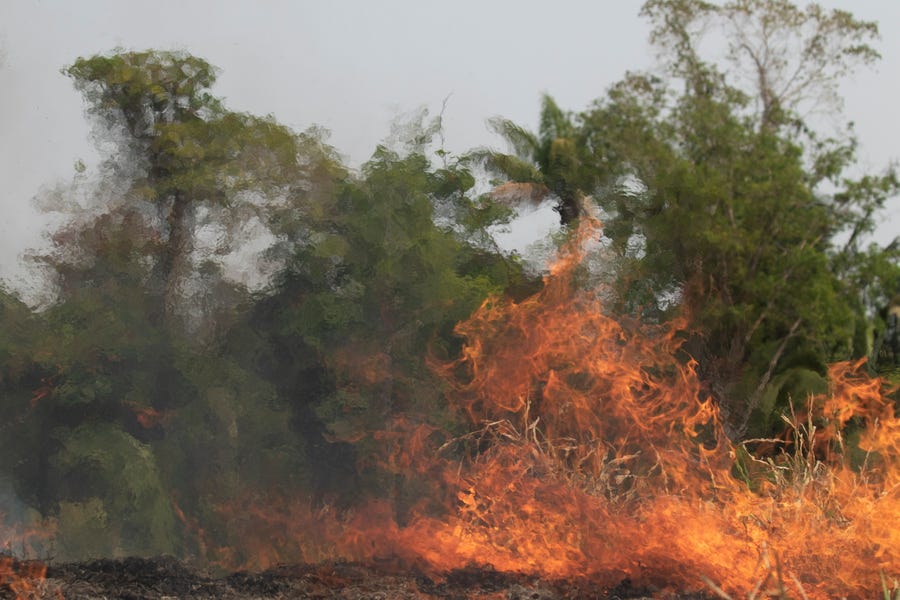 A general view of a fire in the Amazon of Rondonia, Brazil on Aug. 24, 2019. Brazil is deploying forty four thousand soldiers it has in the vast Amazon region to fight forest fires.