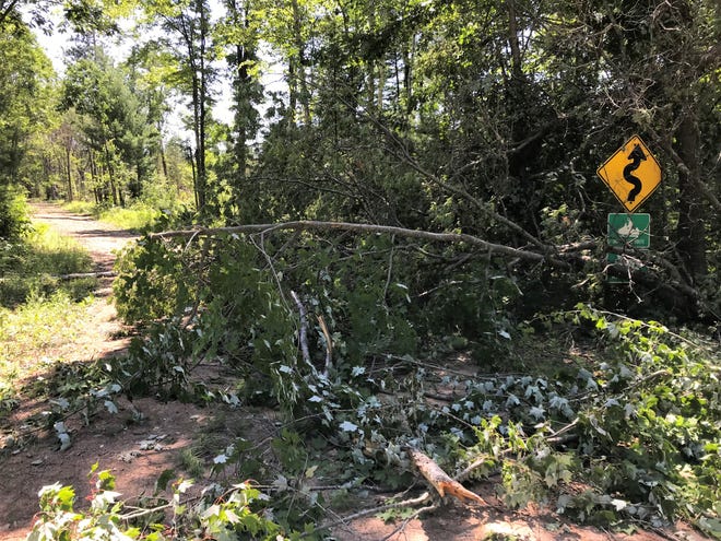 Trees block Butler Spring Road at Highway 64 after the July 18-19 storm in Oconto County.