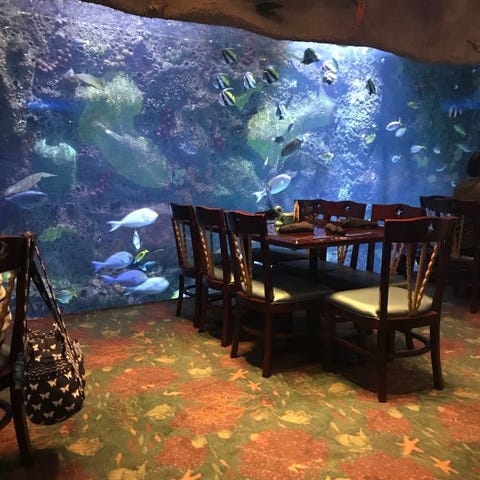 OpenTable recently released its list of 50 most ki