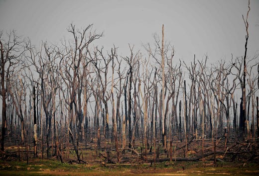 View of burned areas of the Amazon rainforest, near Abuna, Rondonia state, Brazil, on Aug. 24, 2019. President Jair Bolsonaro authorized the deployment of Brazil's armed forces to help combat fires raging in the Amazon rainforest, as a growing global outcry over the blazes sparks protests and threatens a huge trade deal.
