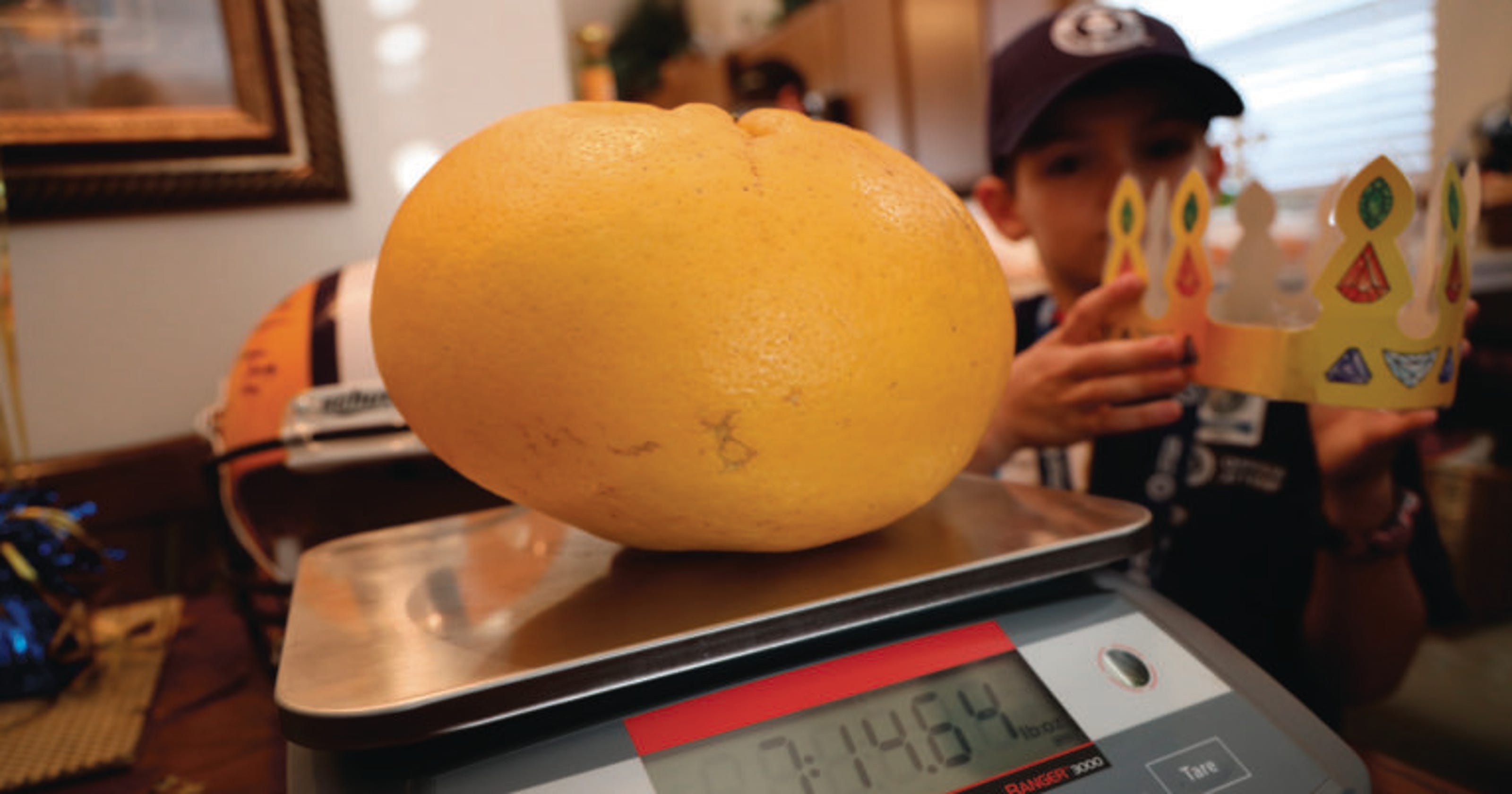 Just how big is the world's biggest grapefruit?(01)