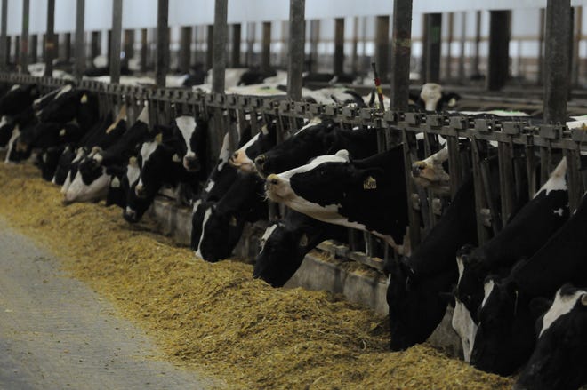 Rosendale Dairy is the state's largest dairy farm with more than 8,000 cows.  UW-Oshkosh will use the facility as an off campus laboratory.