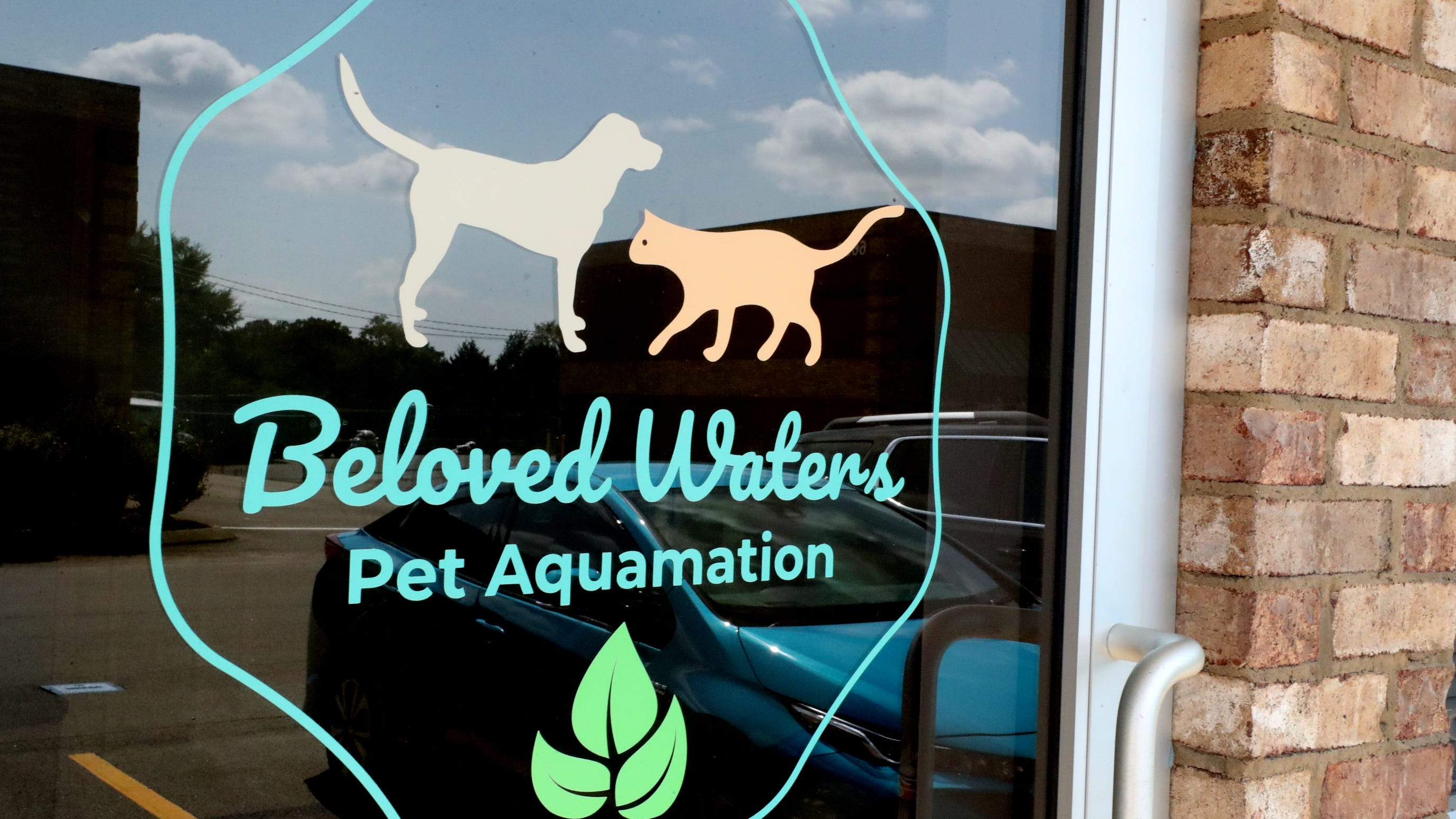 WATCH: What is pet aquamation? - Main Image