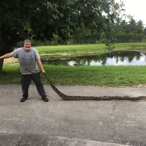 FWC Python Action Team member George Perkins caugh