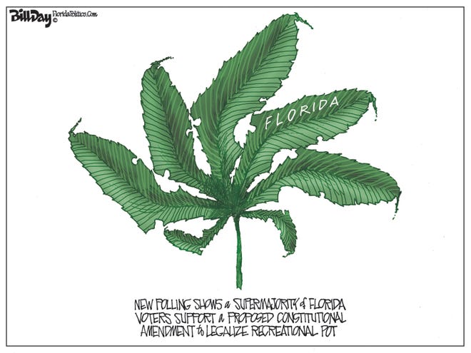 Florida to legalize recreational pot?
