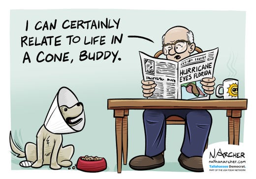 The cartoonist's homepage: https://www.tallahassee.com/opinion/
