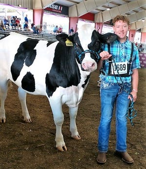 Bradin Bjelland, 13, is seen with his Holstein dairy steer Sherlock at the Wisconsin State Fair this month. Bradin won the breed award for Champion Registered Dairy Steer.