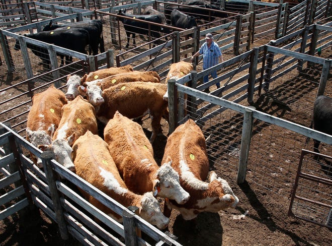 U.S. Agriculture Secretary Sonny Purdue said Wednesday his department has launched an investigation to determine whether there have been unfair beef pricing practices after the fire at the Tyson slaughterhouse in Kansas.