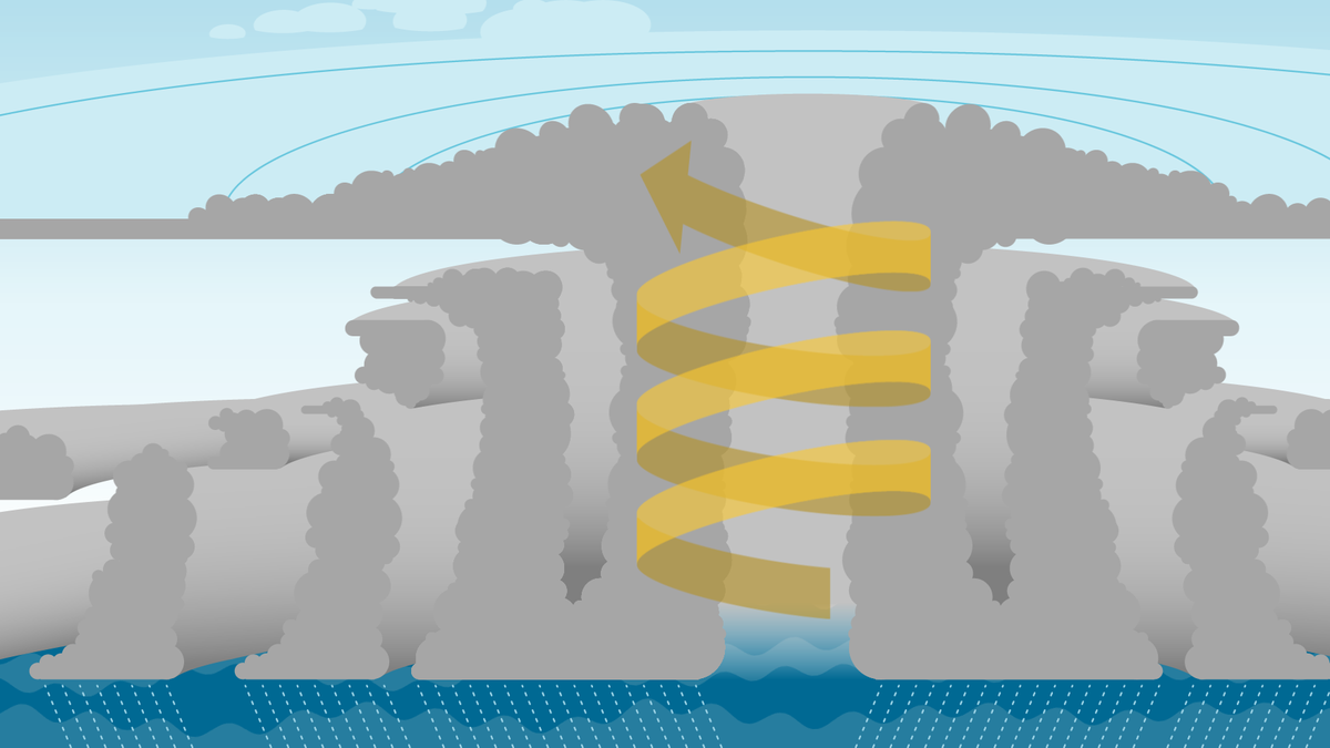 How do hurricanes form? A look at how it happens from the inside.