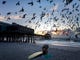 Pigeons fly above Cocoa Beach Pier in Cocoa Beach, Fla. on Aug. 31, 2019. Florida is preparing for Hurricane Dorian, a Category 4 storm that is now expected to pass to the east of the state early next week. 