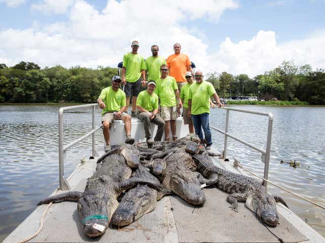 Louisiana Attorney General S Gator Hunt Draws Usa Politicians Stars