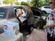 Venue Naples Co-Owner Nicole Roland, left, helps unload over 2,200 diapers from Peggy Moberg's car at Venue Naples on Tuesday, September 3, 2019. Moberg is the president of Naples Wings of Hope, a Collier County charity that was created after Hurricane Irma that focuses on providing basic essentials to those in need.