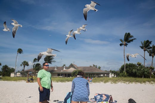 Gulls slides in the wind at the Naples Beach on Tuesday, September 3, 2019. Locals and tourists continue visiting scenic spots in Naples, taking advantage of heavy winds and waves bought on by Hurricane Dorian.