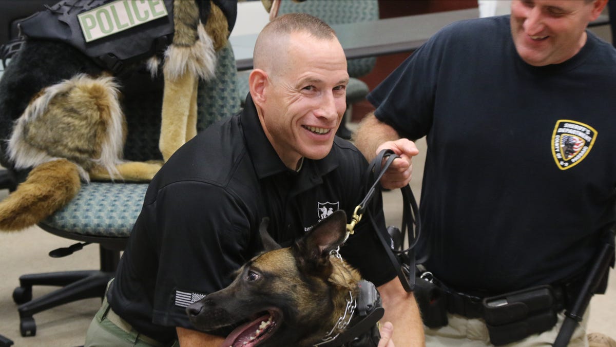 Are Police K9 Dogs Treated As Officers By Law