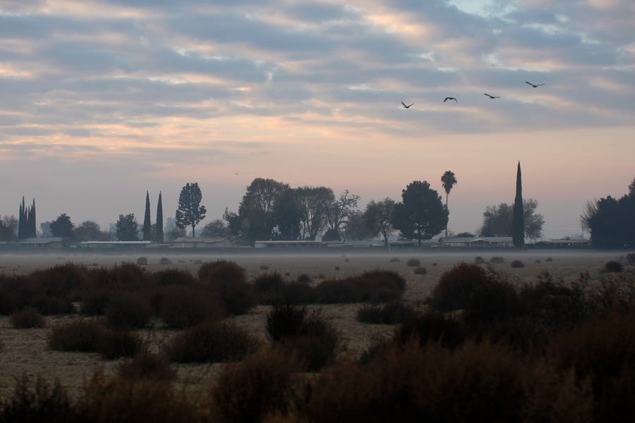 LOS ANGELES, CA - FEBRUARY 5:  Canadian geese fly over a tumbleweed-covered fallow field at sunrise on February 5, 2014 near Visalia, California. Now in its third straight year of unprecedented drought, California is experiencing its driest year on record, dating back 119 years and possible the worst in the past 500 years.