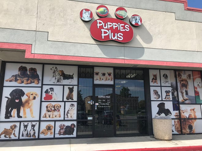The storefront of Puppies Plus on South Virginia Street on Sept. 4, 2019. The owners of the store have been indicted on several charges, including animal torture.