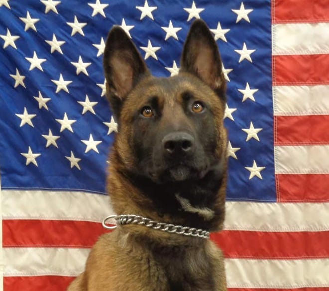 Luna served as one of the Stevens Point Police Department's first police dogs in its K-9 program.  She died of multiple organ failure on Sept. 4. Police believe she was exposed to toxic mushrooms