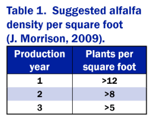 Plants Per Square Foot Chart