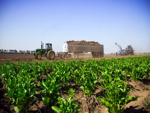 World's largest horseradish producer is near Eau Claire, on a family farm started by a German immigrant