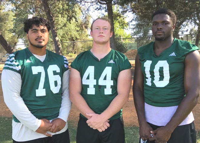 Sophomore defensive linemen Detrius Kelsall, from left, Cole Parker, Torren Calhoun-Ray and offensive lineman Michael Johnson (not pictured) are expected to lead Shasta College football in 2019.
