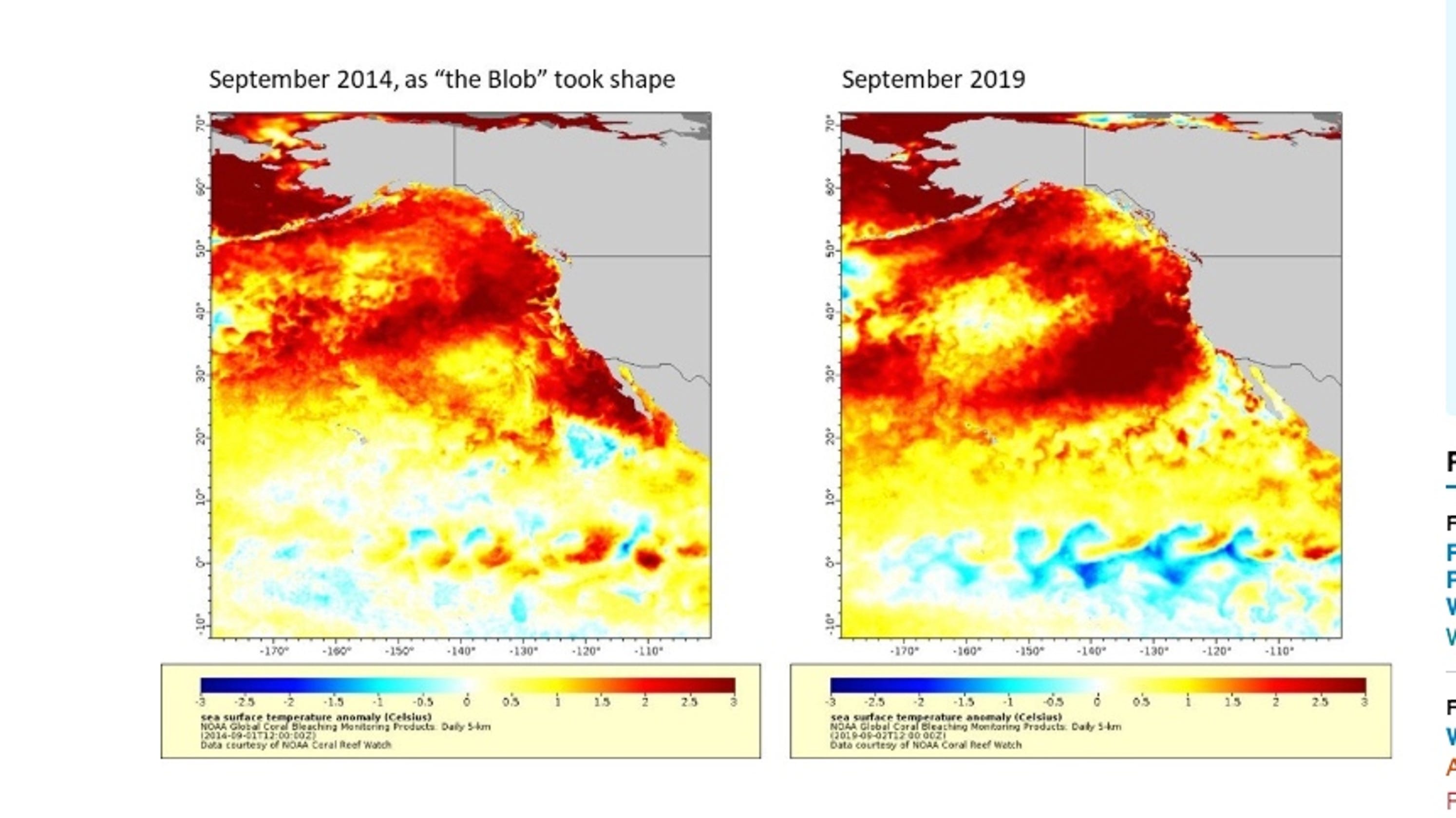 Return of ‘The Blob?’ Huge expanse of warm water in Pacific could impact Oregon wildlife - Statesman Journal