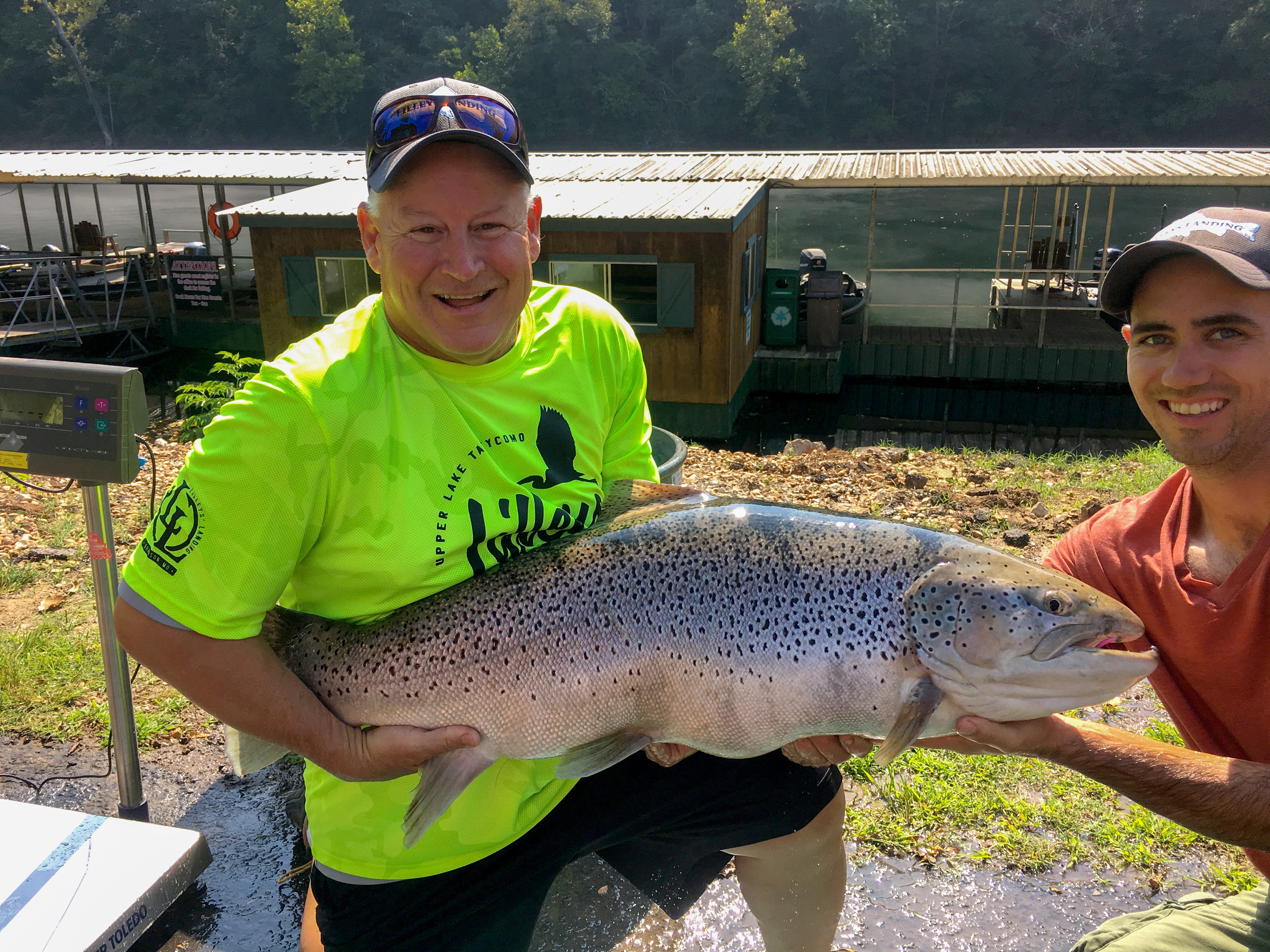 trout fish