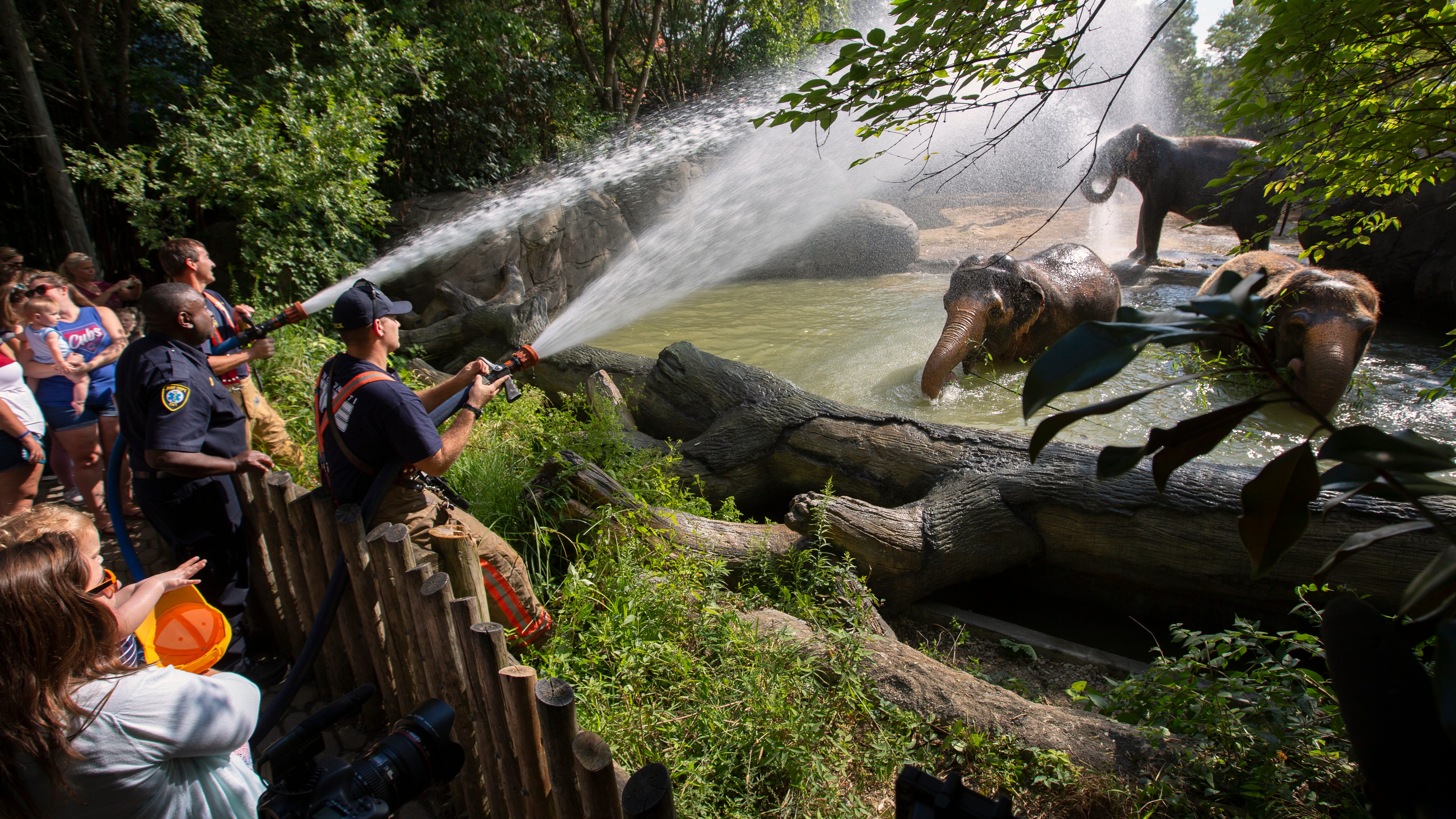 Local firefighters give elephants a shower