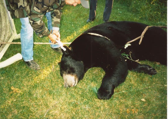 A bear caught in downtown Manitowoc in June 1992.