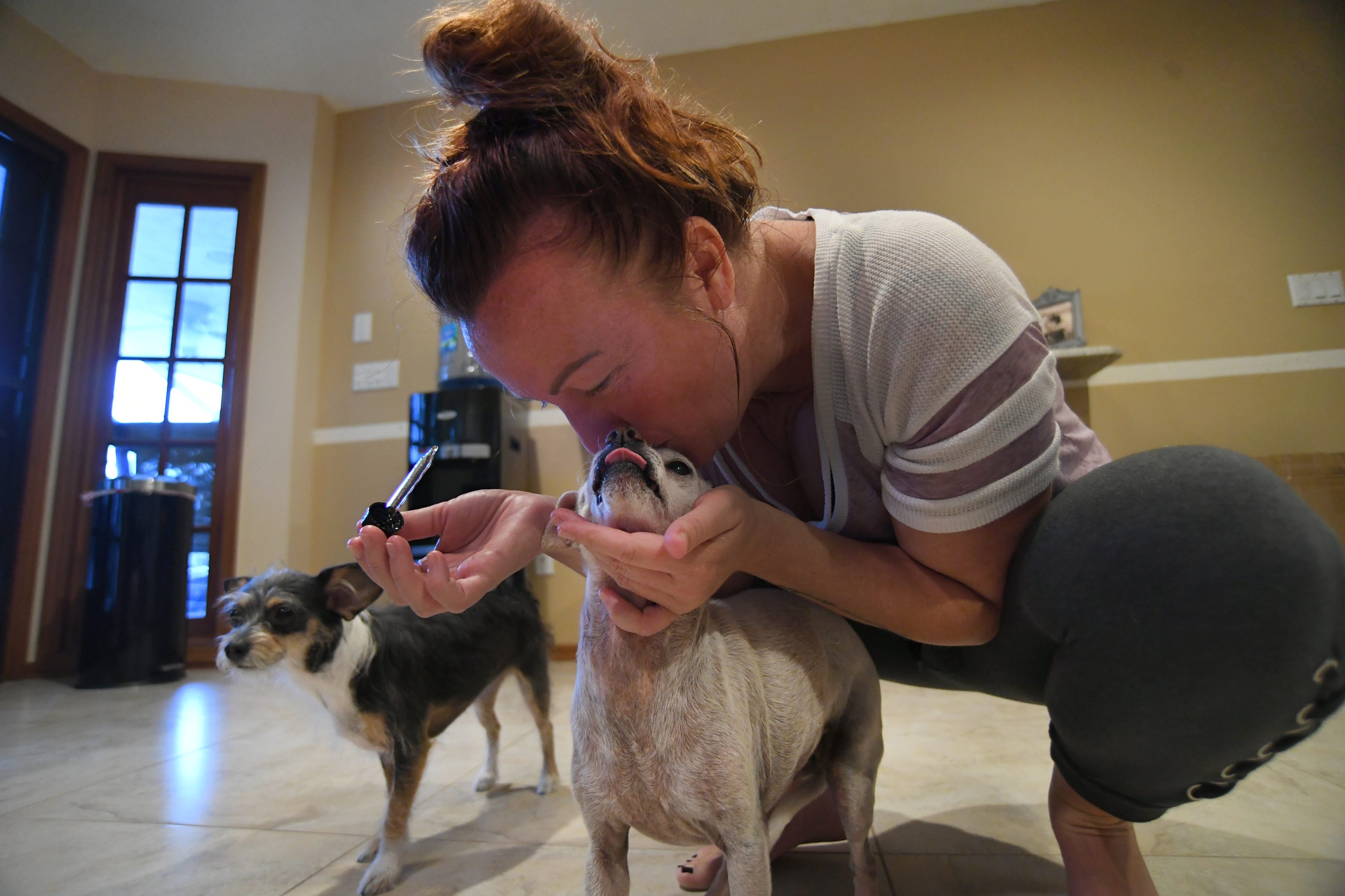 Is it Legal to Sell Pet CBD Products?