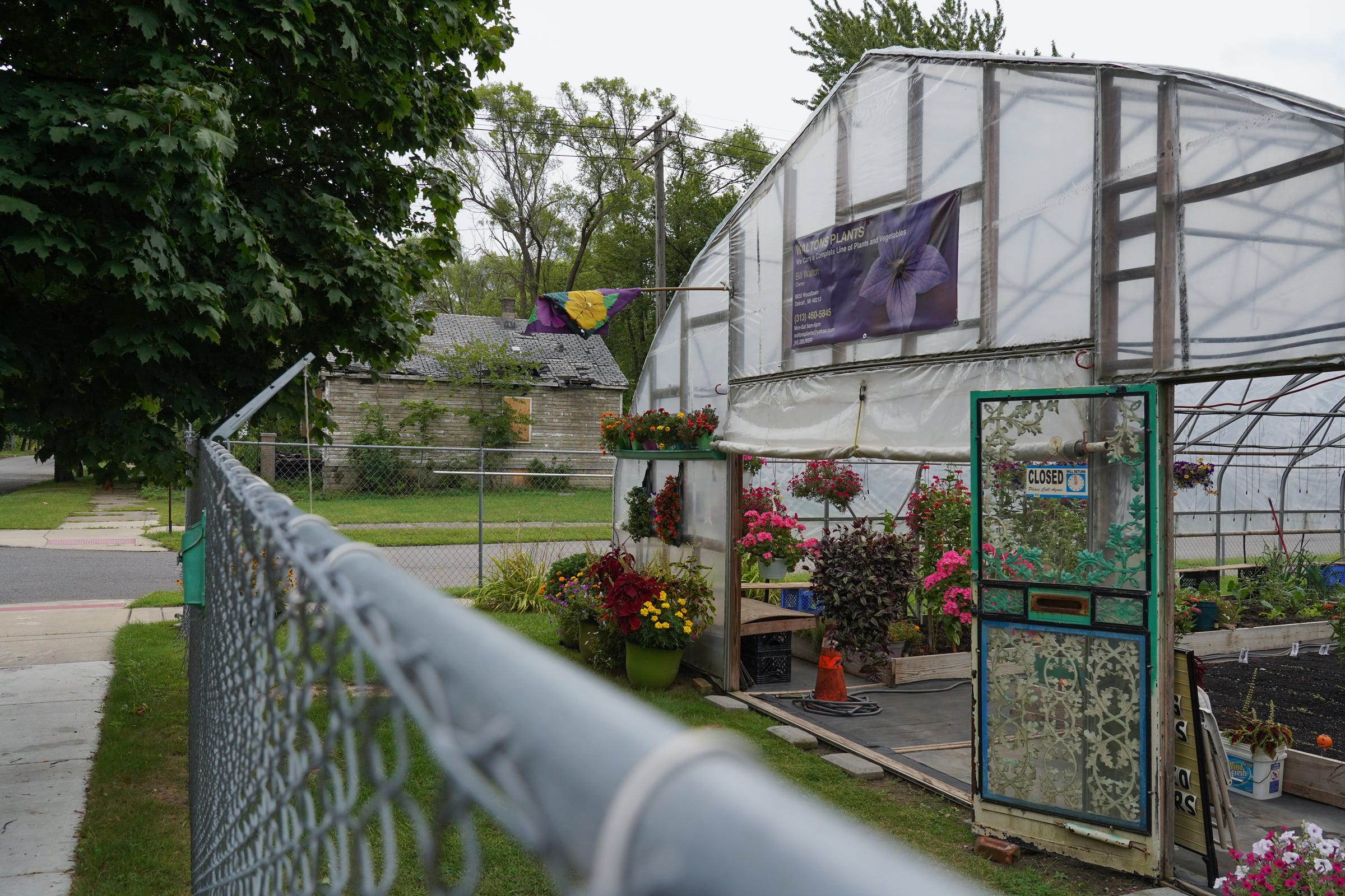 Walton's Plants as seen in a neighborhood on Detroit's east side on Tuesday, Sept. 3, 2019.