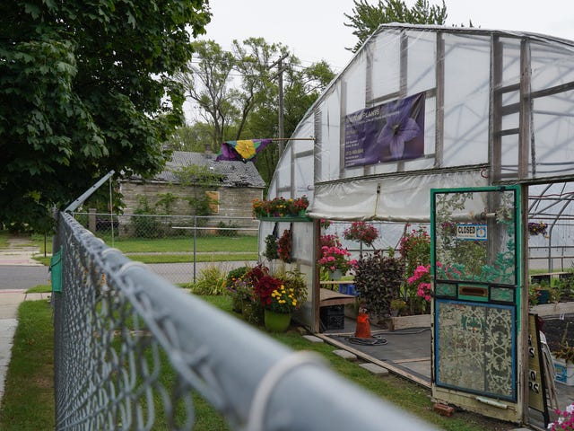 Detroit Flower Man Counters City S Blight With Flowers